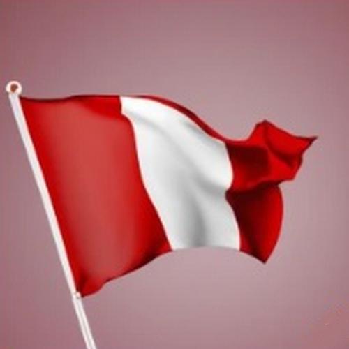 Vue d'ensemble de drapeaux rouge blanc rouge